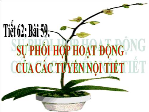 Bài 59. Sự điều hòa và phối hợp hoạt động của các tuyến nội tiết