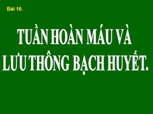 Bài 19. Thực hành: Sơ cứu cầm máu