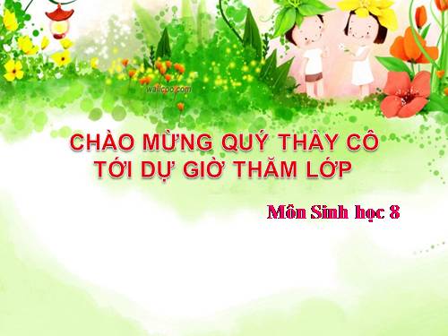 Bài 54. Vệ sinh hệ thần kinh