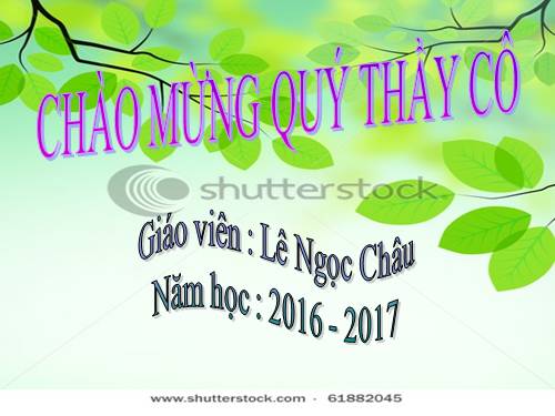 Bài 24. Tiêu hóa và các cơ quan tiêu hóa