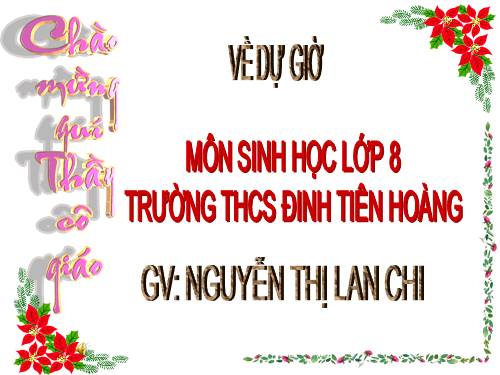 Bài 47. Đại não
