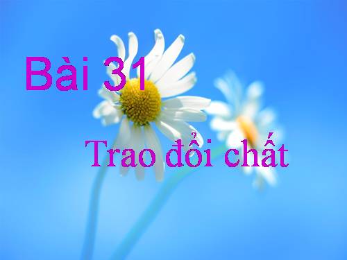 Bài 31. Trao đổi chất