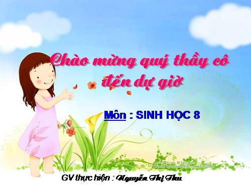 Bài 27. Tiêu hóa ở dạ dày