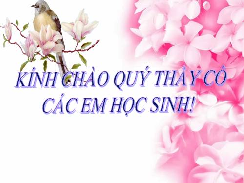 Bài 20. Hô hấp và các cơ quan hô hấp