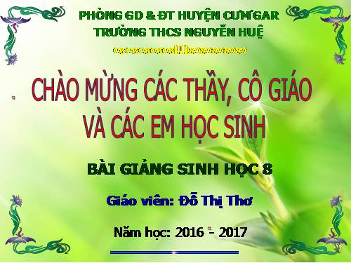 Bài 24. Tiêu hóa và các cơ quan tiêu hóa