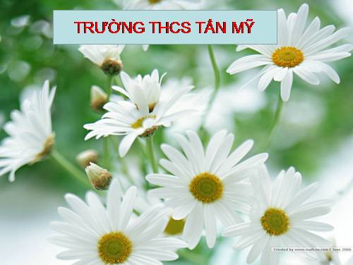 Bài 49. Cơ quan phân tích thị giác