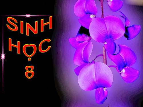 Bài 18. Vận chuyển máu qua hệ mạch. Vệ sinh hệ tuần hoàn