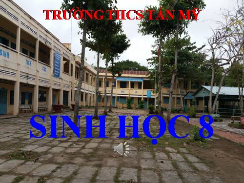 ôn tập đề cương HKII theo câu hỏi SGK 8