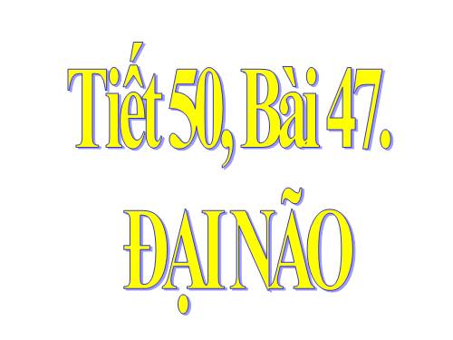 Bài 46. Trụ não. Tiểu não. Não trung gian