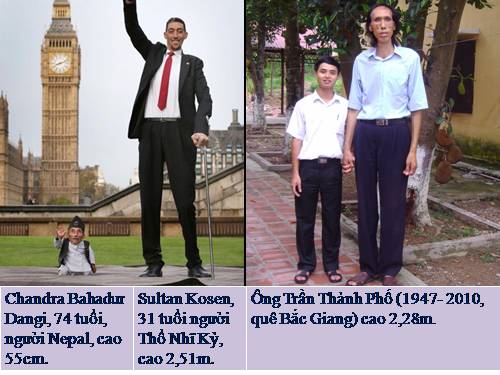 Bài 55. Giới thiệu chung hệ nội tiết