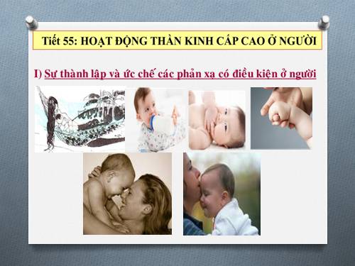 Bài 53. Hoạt động thần kinh cấp cao ở người