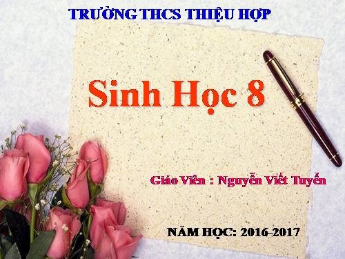 Bài 54. Vệ sinh hệ thần kinh