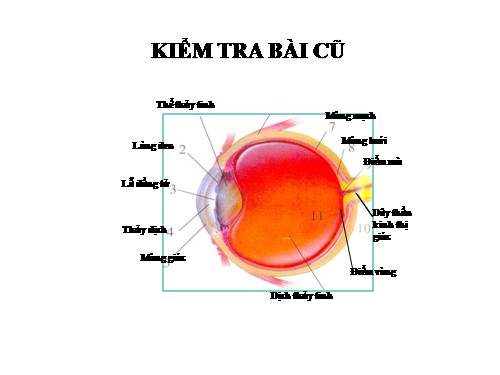 Bài 50 Vệ sinh mắt