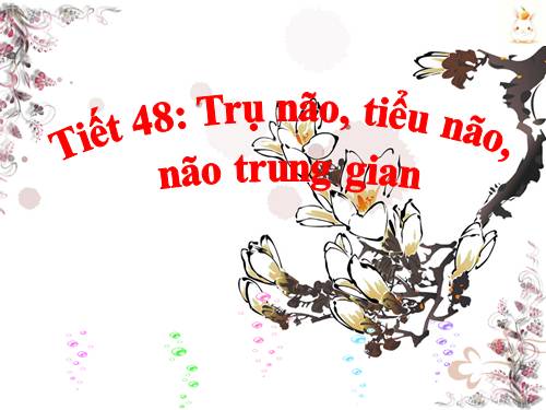 Bài 46. Trụ não. Tiểu não. Não trung gian