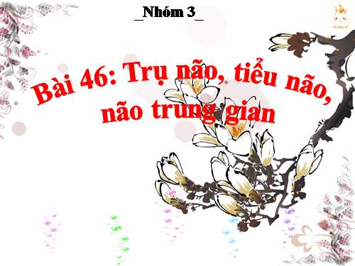 Bài 46. Trụ não. Tiểu não. Não trung gian