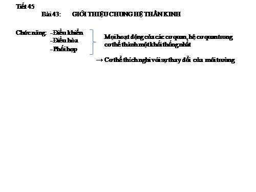 Bài 43. Giới thiệu chung hệ thần kinh