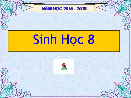 Bài 41. Cấu tạo và chức năng của da