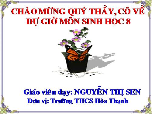 Bài 51. Cơ quan phân tích thính giác