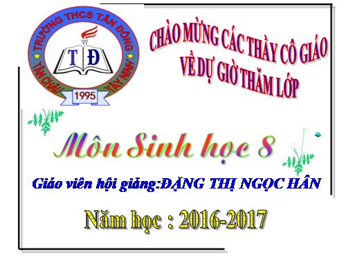 Bài 20. Hô hấp và các cơ quan hô hấp