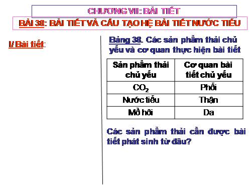 Bài 38. Bài tiết và cấu tạo hệ bài tiết nước tiểu