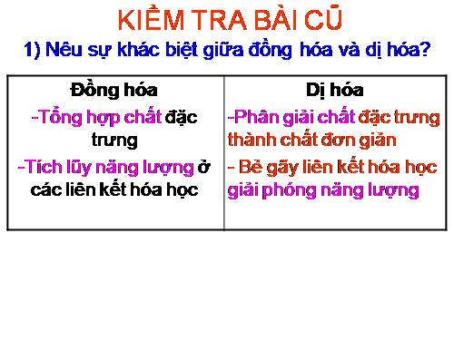 Bài 33. Thân nhiệt