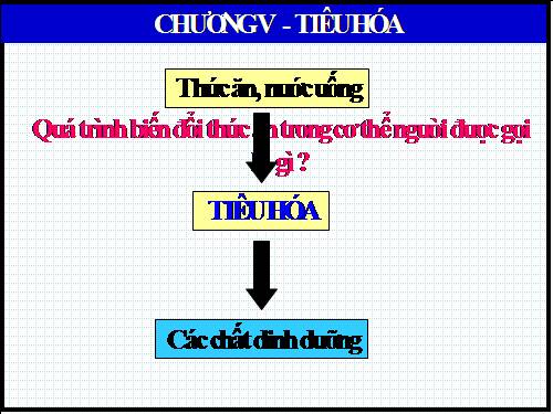 Bài 11. Tiến hóa của hệ vận động. Vệ sinh hệ vận động