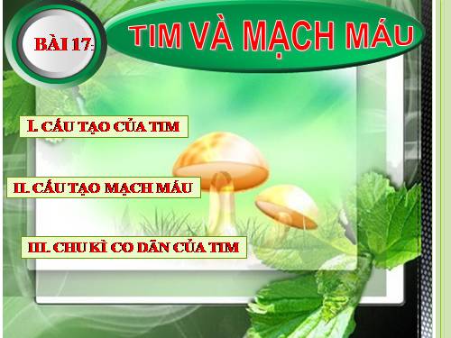 Bài 17. Tim và mạch máu