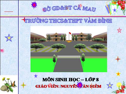 Bài 22. Vệ sinh hô hấp