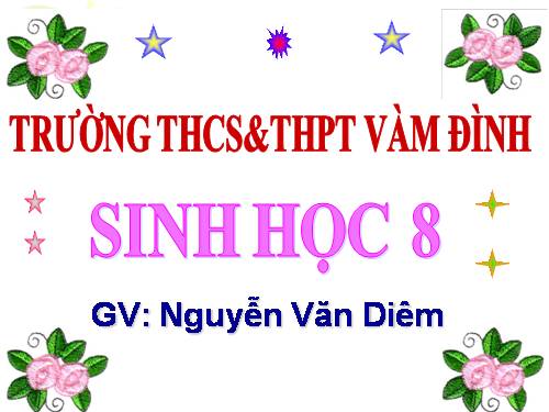 Bài 21. Hoạt động hô hấp