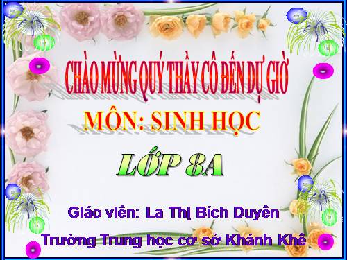 Bài 21. Hoạt động hô hấp