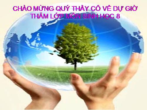 Bài 22. Vệ sinh hô hấp