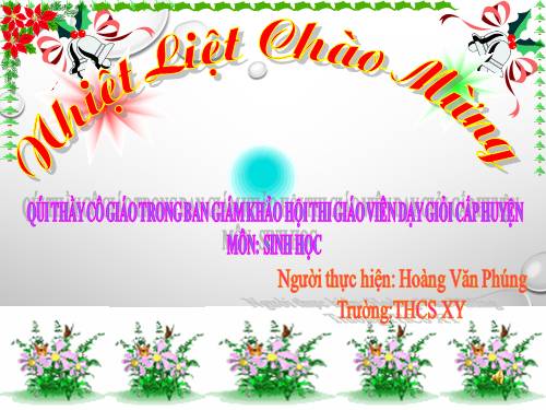 Bài 24. Tiêu hóa và các cơ quan tiêu hóa