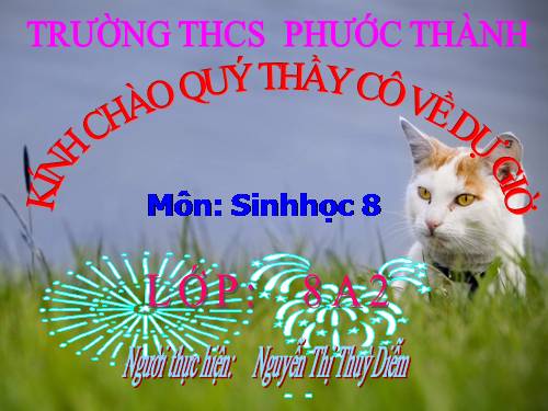 Bài 22. Vệ sinh hô hấp