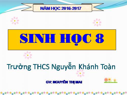 Bài 19. Thực hành: Sơ cứu cầm máu