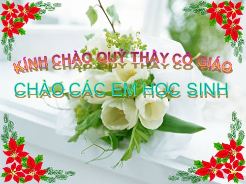 Bài 16. Tuần hoàn máu và lưu thông bạch huyết