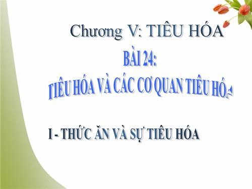 Bài 24. Tiêu hóa và các cơ quan tiêu hóa