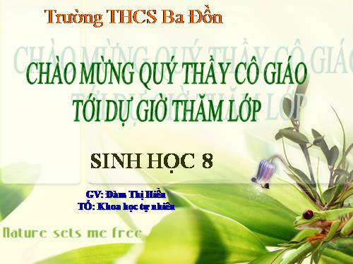 Bài 24. Tiêu hóa và các cơ quan tiêu hóa