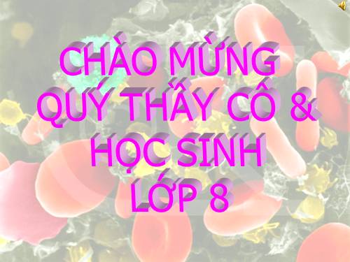 Bài 20. Hô hấp và các cơ quan hô hấp