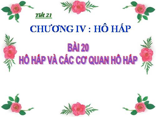 Bài 20. Hô hấp và các cơ quan hô hấp