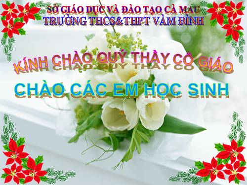 Bài 17. Tim và mạch máu