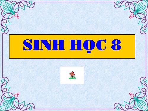 Bài 3. Tế bào
