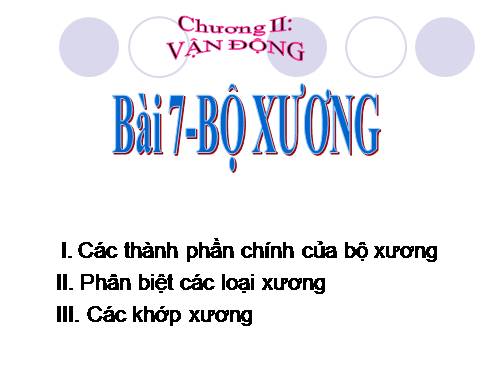 Bài 7. Bộ xương