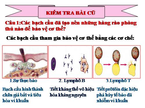 Bài 15. Đông máu và nguyên tắc truyền máu