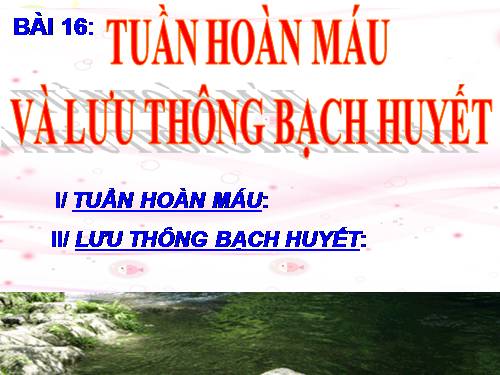 Bài 16. Tuần hoàn máu và lưu thông bạch huyết