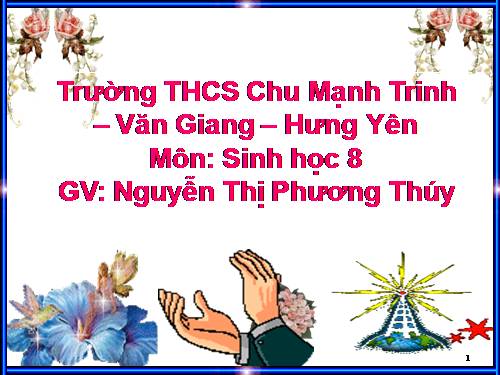 Bài 16. Tuần hoàn máu và lưu thông bạch huyết