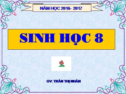 Bài 15. Đông máu và nguyên tắc truyền máu