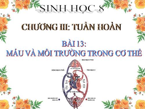 Bài 13. Máu và môi trường trong cơ thể