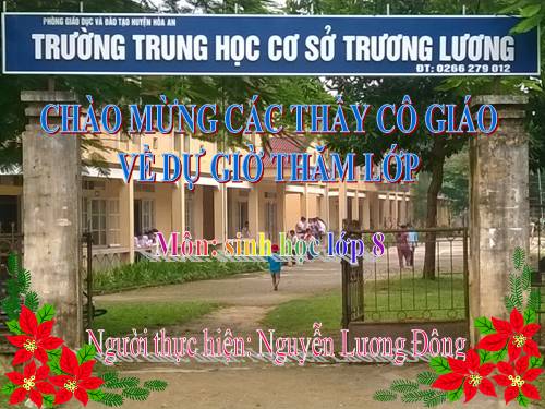 Bài 13. Máu và môi trường trong cơ thể