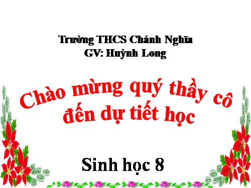 Bài 51. Cơ quan phân tích thính giác