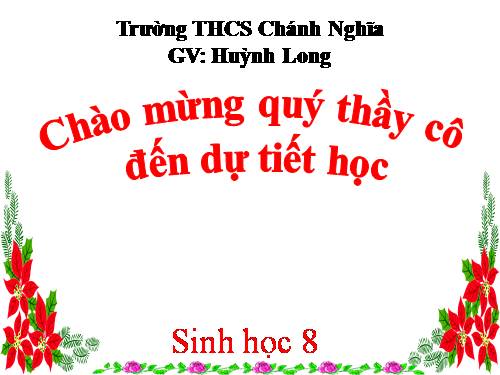 Bài 46. Trụ não. Tiểu não. Não trung gian